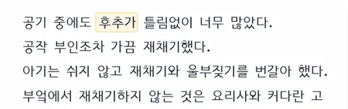 사례 1 그리디 청킹 생성 결과에서 ‘후추가’를 강조한 화면