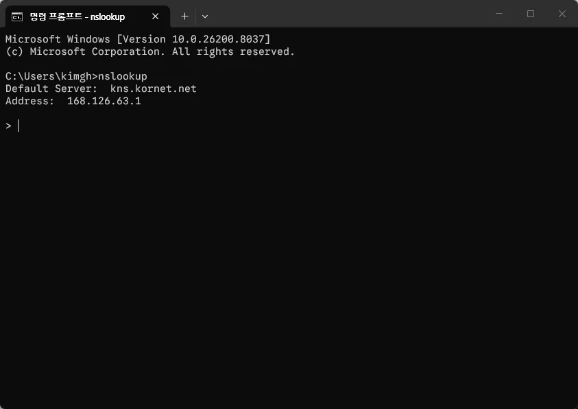 nslookup 실행 결과
