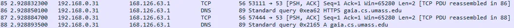 DNS 쿼리 세그먼트들